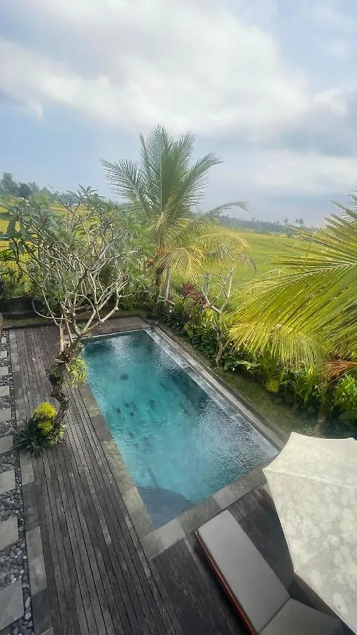 Bayad Anyar - Ubud  Ubud (Bali)