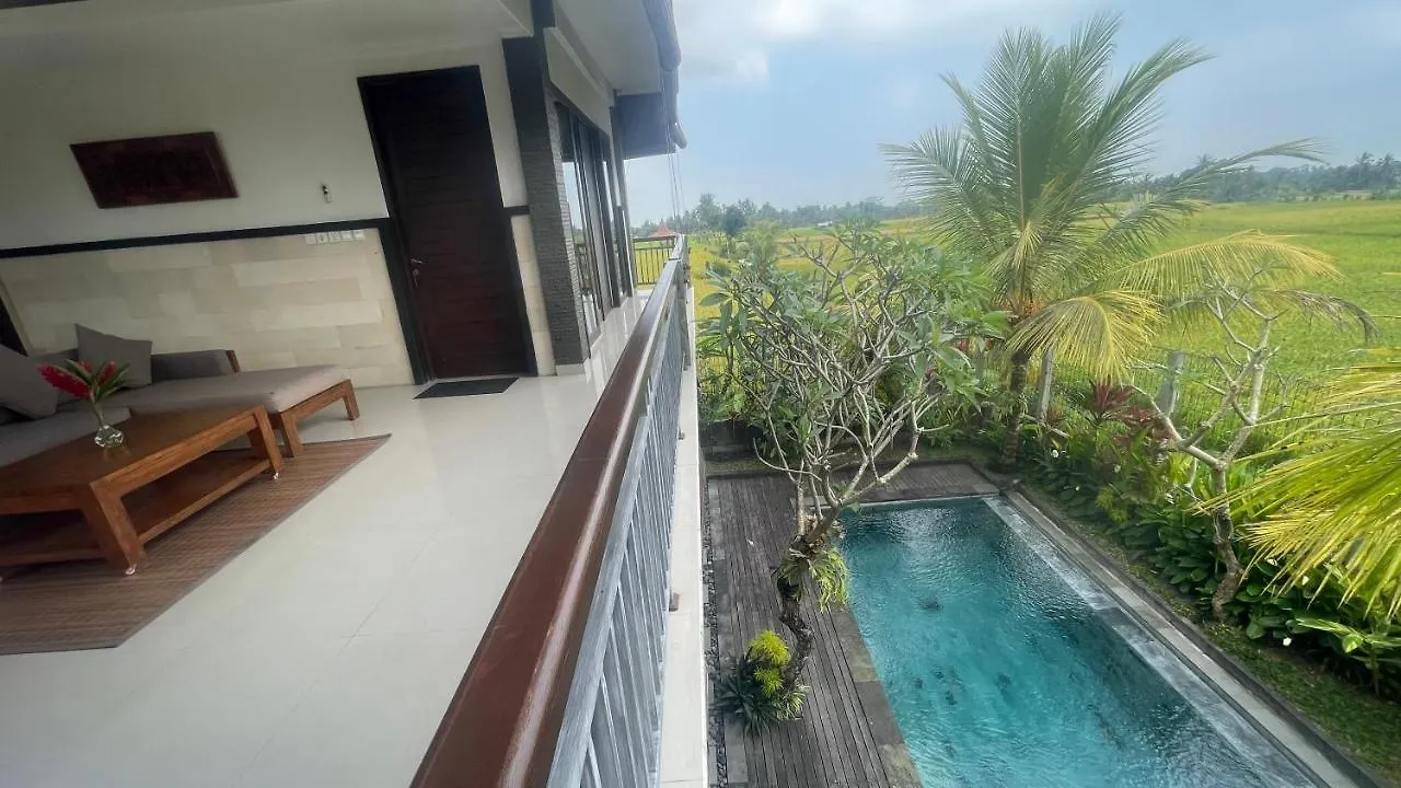 Bayad Anyar - Ubud Bali contacts